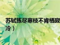 苏轼拣尽寒枝不肯栖寂寞沙洲冷（拣尽寒枝不肯栖寂寞沙洲冷）