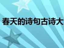 春天的诗句古诗大全（关于春天的古诗大全）