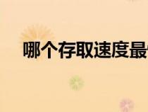 哪个存取速度最快（什么存取速度最快）