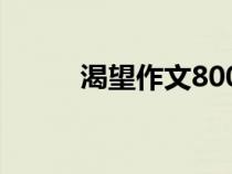 渴望作文800字初中（渴望作文）