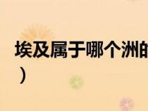 埃及属于哪个洲的人文环境（埃及属于哪个洲）