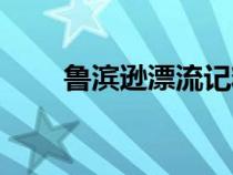 鲁滨逊漂流记精彩内容（精彩内容）