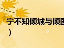 宁不知倾城与倾国的意思（宁不知倾城与倾国）