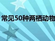 常见50种两栖动物（常见的两栖动物有哪些）