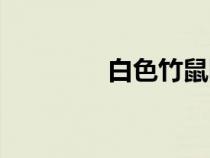 白色竹鼠图片（竹鼠图片）
