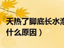 天热了脚底长水泡是什么原因（脚底长水泡是什么原因）