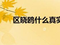 区晓鸥什么真实情况（区晓鸥扮演者）