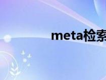 meta检索策略（检索策略）