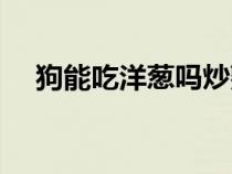 狗能吃洋葱吗炒熟的菜（狗能吃洋葱吗）