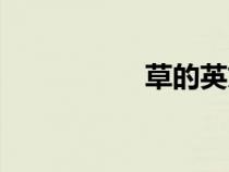 草的英文（树的英文）