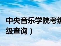 中央音乐学院考级查询电话（中央音乐学院考级查询）