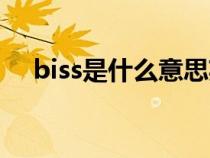 biss是什么意思英语（biss是什么意思）