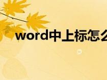 word中上标怎么打（word上标怎么打）