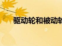驱动轮和被动轮分别是图解（驱动轮）