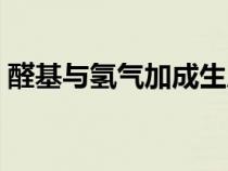 醛基与氢气加成生成什么（醛基与氢气加成）