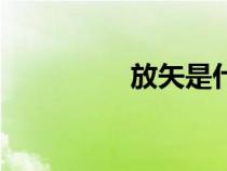 放矢是什么意思（放矢）