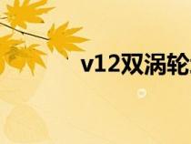 v12双涡轮增压发动机（v12）