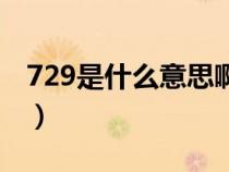 729是什么意思啊网络用语（729是什么意思）