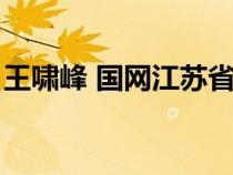 王啸峰 国网江苏省电力公司（江苏电力公司）