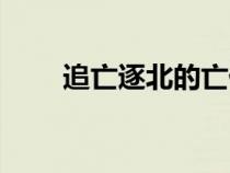 追亡逐北的亡什么意思（追亡逐北）