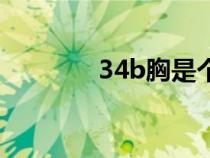 34b胸是个什么概念（34b）