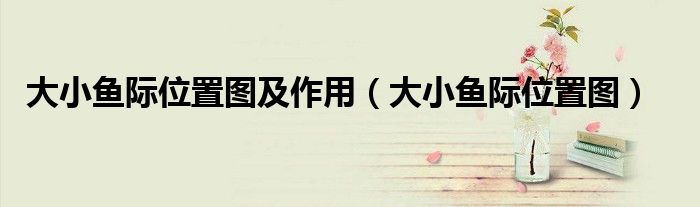 大小鱼际位置图及作用（大小鱼际位置图）