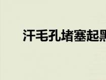 汗毛孔堵塞起黑色疙瘩（汗毛孔堵塞）