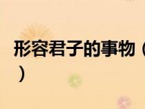 形容君子的事物（比喻君子通达事理行为方正）
