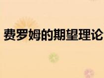 费罗姆的期望理论公式（费珑姆的期望理论）