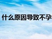 什么原因导致不孕不育（什么原因导致不孕）