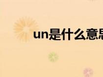 un是什么意思（wto是什么意思）
