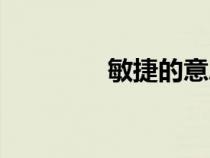 敏捷的意思（敏锐的意思）