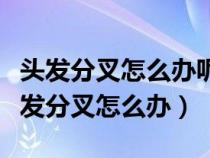 头发分叉怎么办呢凌将代表中国征战冬奥（头发分叉怎么办）
