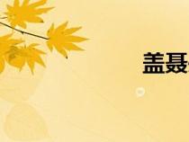 盖聂头像（盖聂）