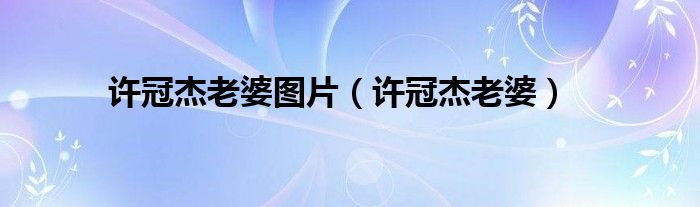许冠杰老婆图片（许冠杰老婆）