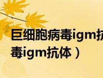 巨细胞病毒igm抗体阳性什么意思（巨细胞病毒igm抗体）
