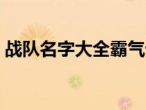 战队名字大全霸气十足（战队名字大全要酷）