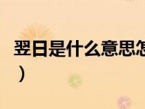 翌日是什么意思怎么读拼音（翌日是什么意思）