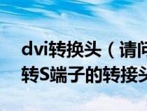 dvi转换头（请问有dvi转S端子的线或者dvi转S端子的转接头吗）