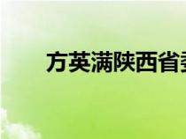 方英满陕西省委组织部2023（方英）