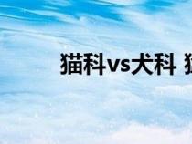 猫科vs犬科 猛兽吧（猫科猛兽吧）