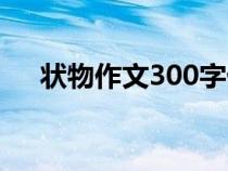状物作文300字优秀（状物作文300字）