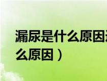 漏尿是什么原因造成的女性40岁（漏尿是什么原因）