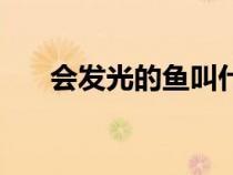 会发光的鱼叫什么名字（会发光的鱼）