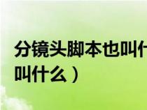 分镜头脚本也叫什么脚本剧本（分镜头脚本也叫什么）
