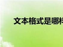 文本格式是哪样的（文本格式有哪些）
