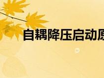 自耦降压启动原理图（自耦降压启动）