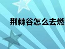荆棘谷怎么去燃烧平原（荆棘谷怎么去）