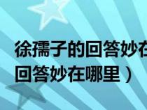 徐孺子的回答妙在哪里是什么意思（徐孺子的回答妙在哪里）