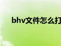 bhv文件怎么打开（blv文件怎么打开）
